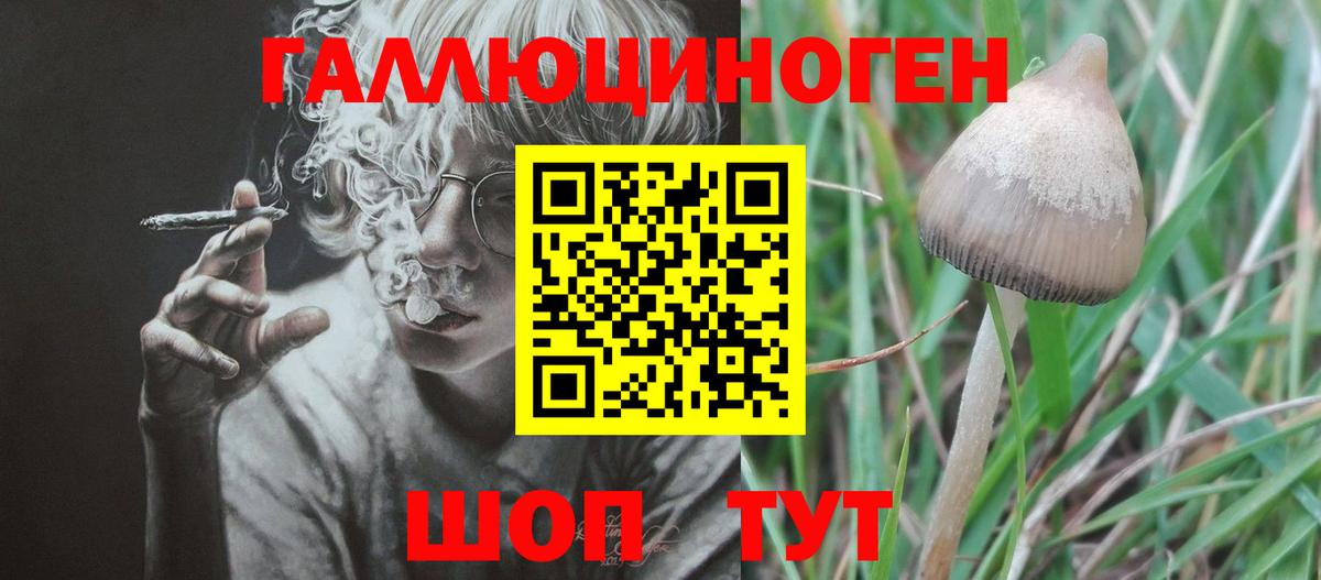 Галлюциногенные грибы GOLDEN TEACHER  Вход с VPN  Псилоцибиновые грибы мицелий  Красноперекопск 